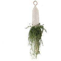 Small Pot Boho Macrame Plant Hanger