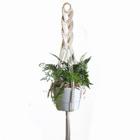 Small Pot Intricate Macrame Plant Hanger