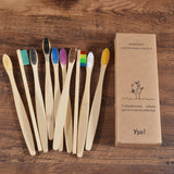 10PCS Natural Bamboo Tooth Brush 