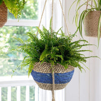 Rattan Hanging Planter