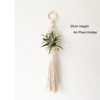 Tiny Macrame Plant Hanger